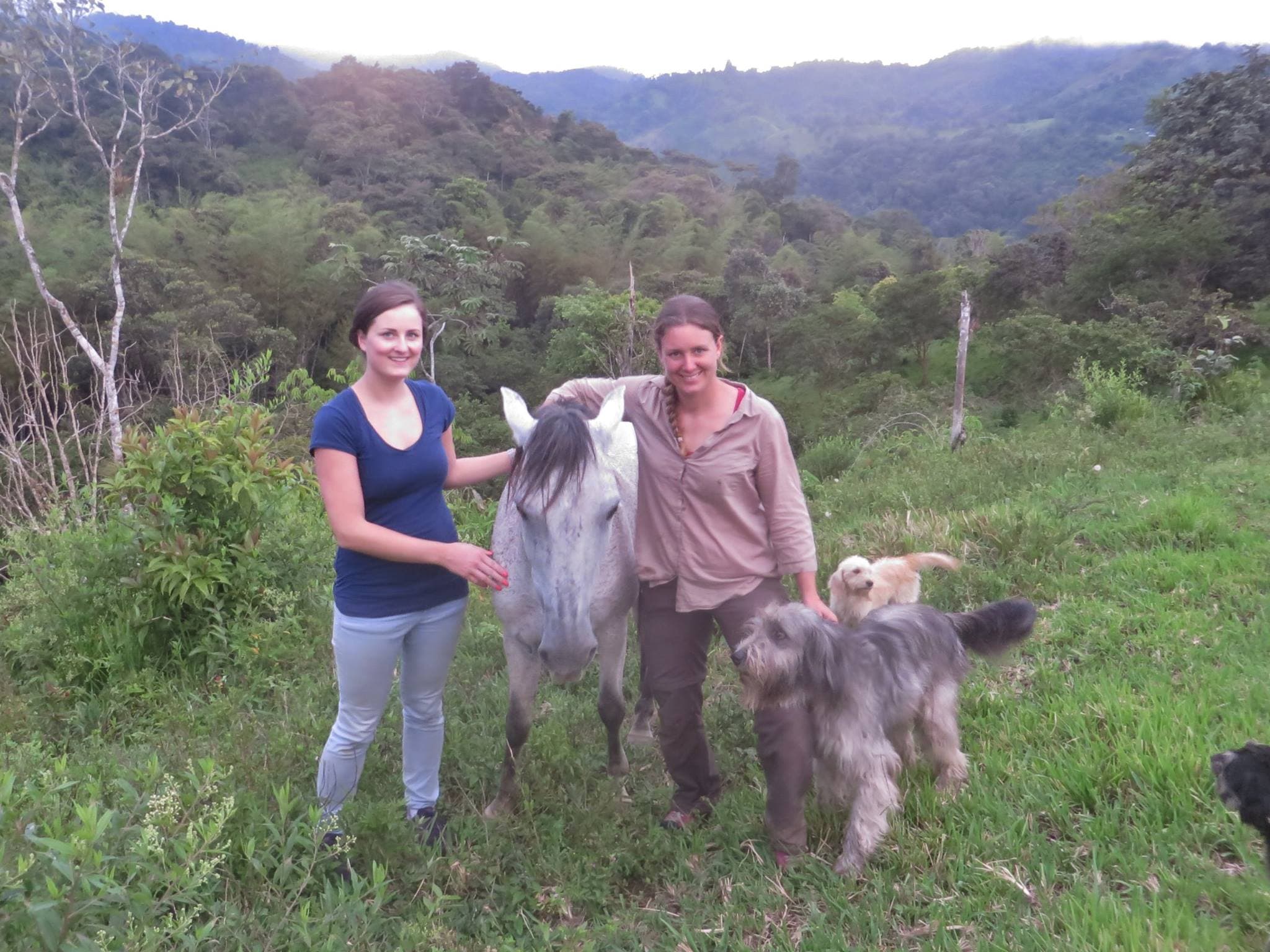 Volunteers mit Pferd und Hunden im Nebelwald der Finca Morgenbrise