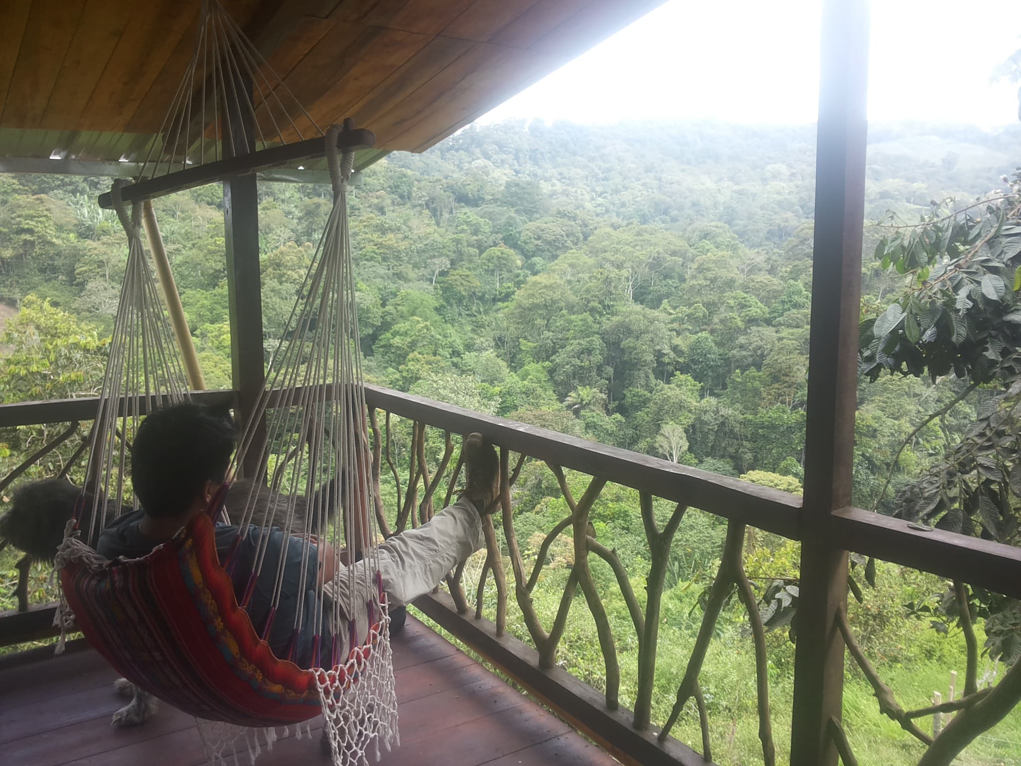 Entspannen in der Hängematte auf der Veranda mit Blick in den Nebelwald