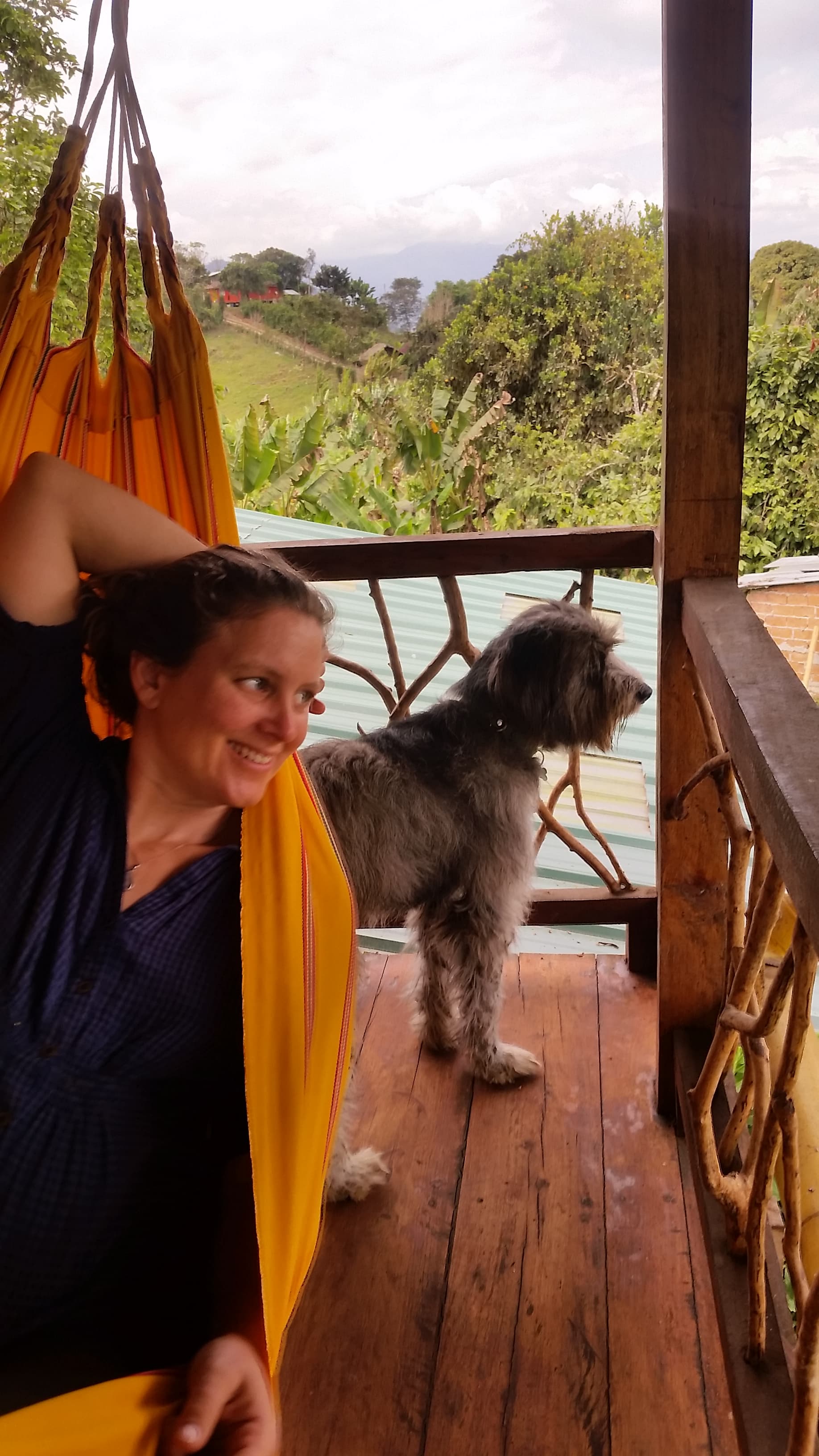 Hängematte auf der Veranda mit Blick in den Nebelwald