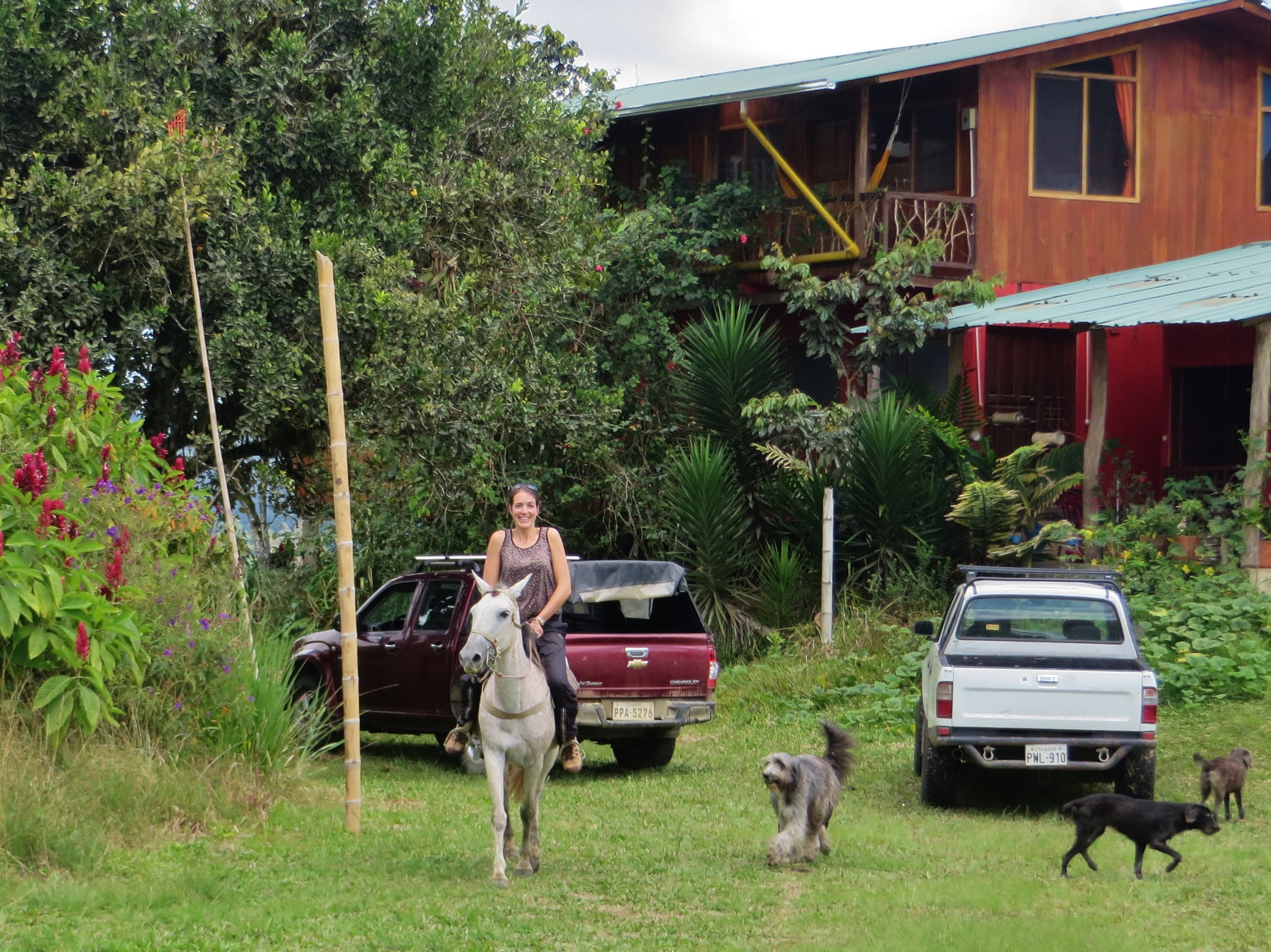 Das Farmhaus der Finca Morgenbrise mit Reiterin und Hunden