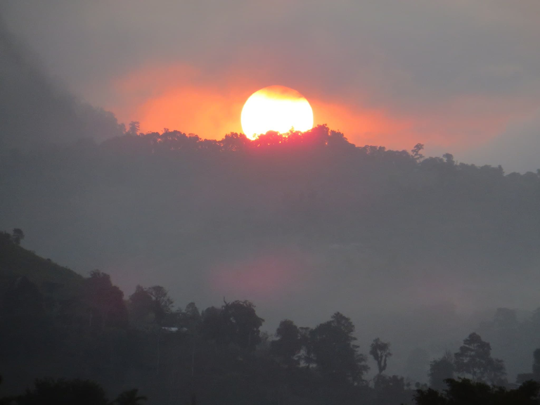 Sonnenuntergang über dem Nebelwald der Finca Morgenbrise